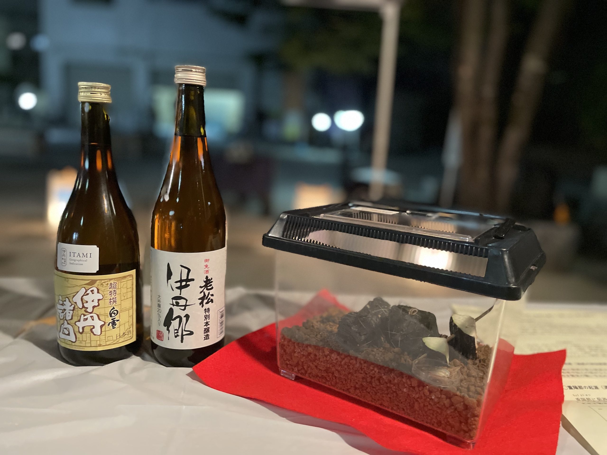 2025年9月9日（火）「鳴く虫と菊の節供」を共催で開催しました。（鳴く虫と郷町）