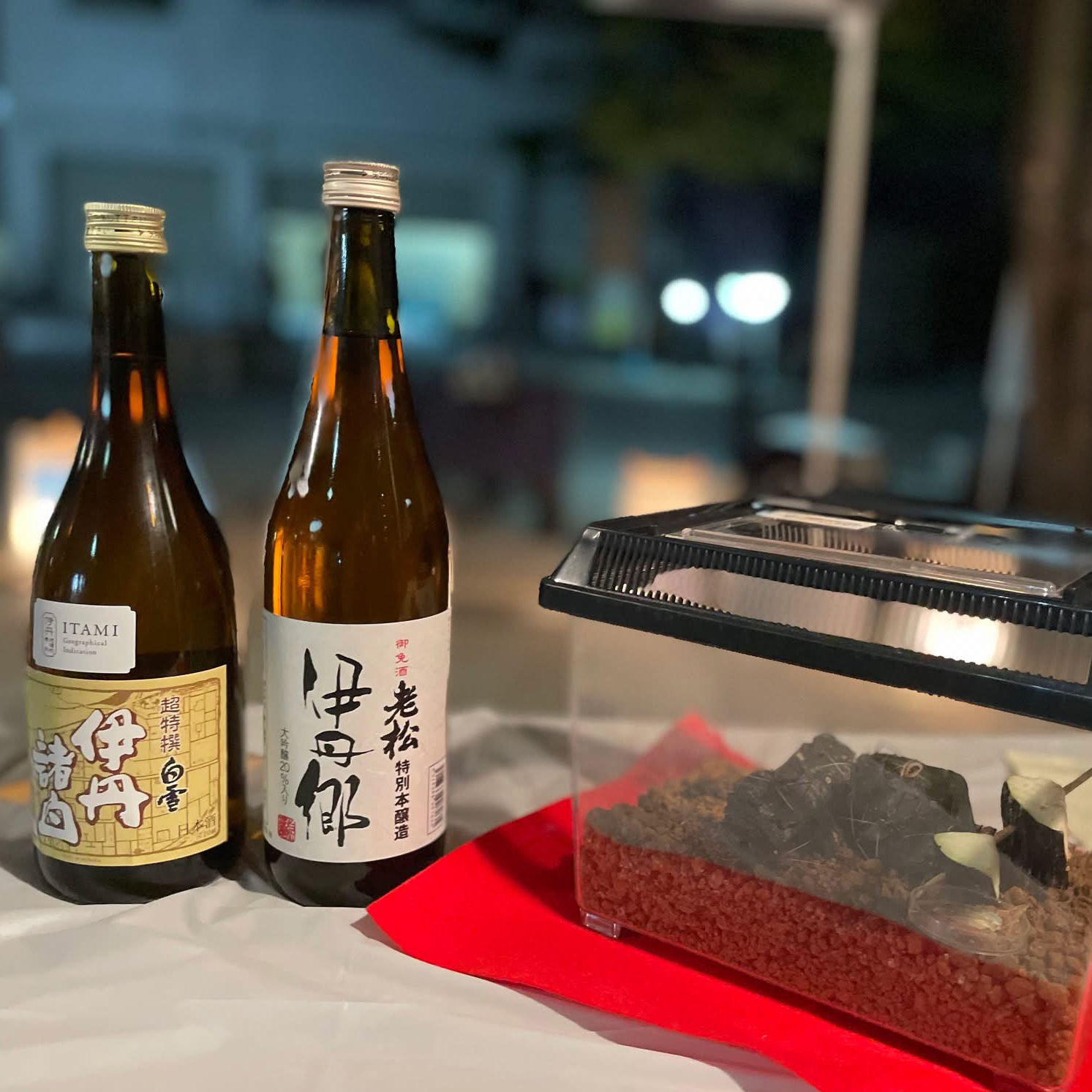 2026年9月9日(水)「鳴く虫と菊の節供」共催(鳴く虫と郷町)